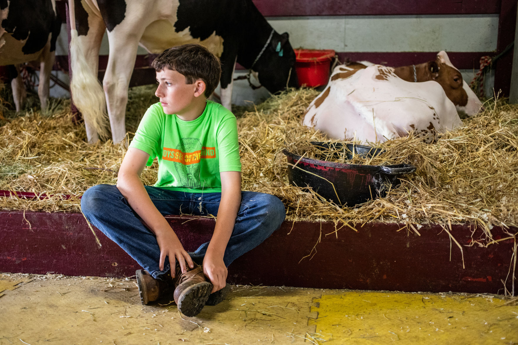 0717_wdj_FirstDayLewisCountyFair_dn3.JPG